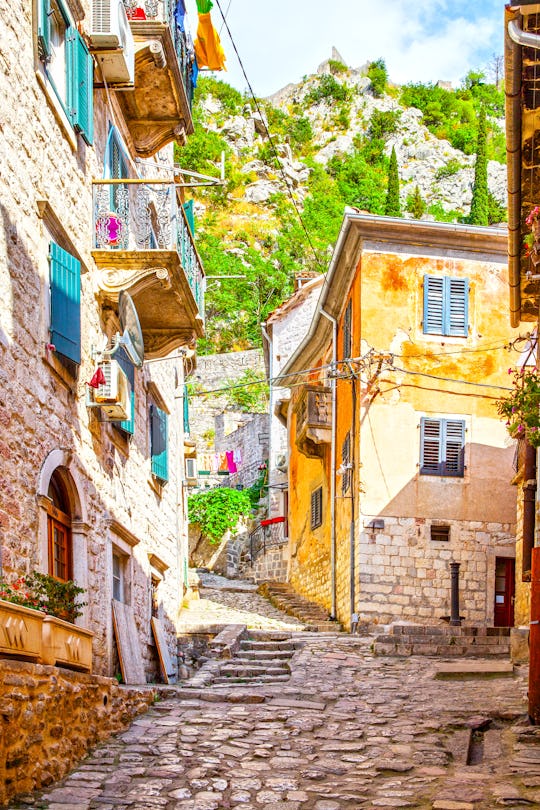Kotor