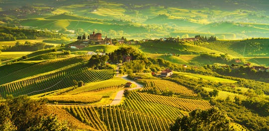 Barolo