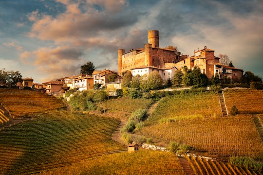 Barolo