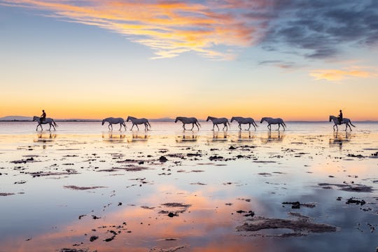 Camargue